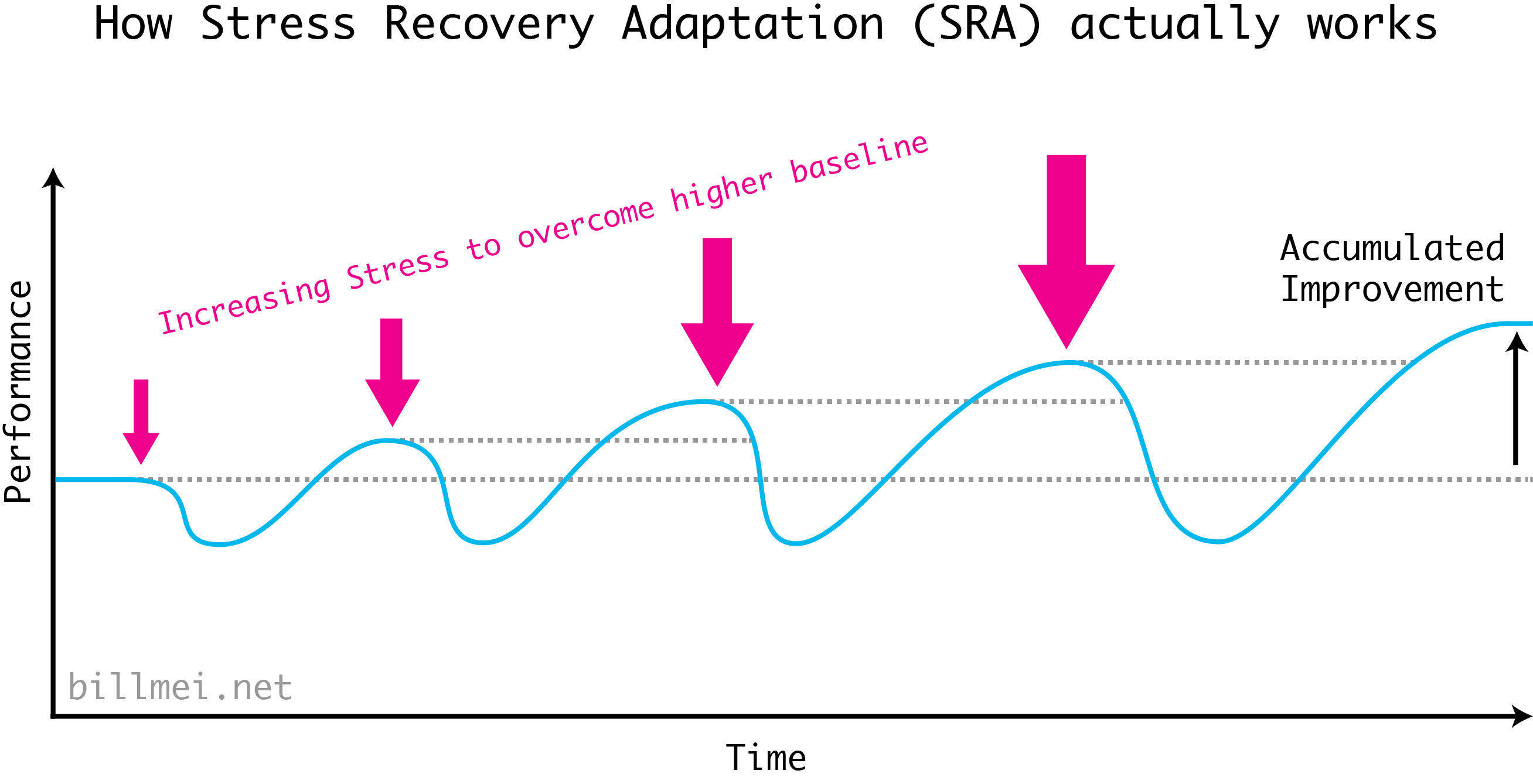 How the Stress Recovery Adaptation (SRA) cycle actually works. The second time after a workout, you've already achieved a higher baseline, so in order to overcome this to achieve an even higher baseline, you have to apply even more stress. Thus to accumulate improvement, the stress you apply is getting larger and larger over time.